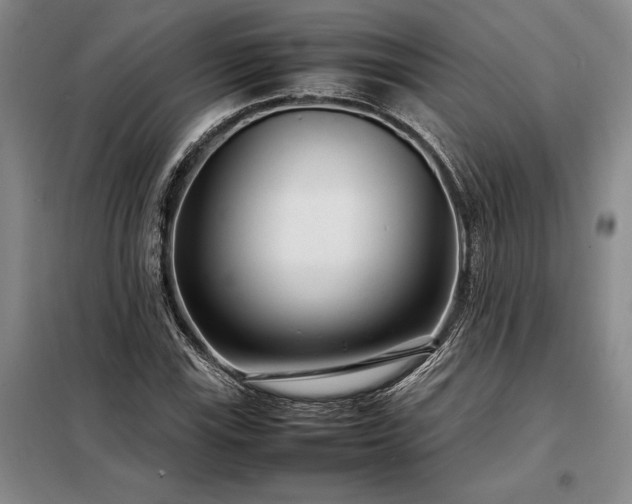 X0000098221115200805011228