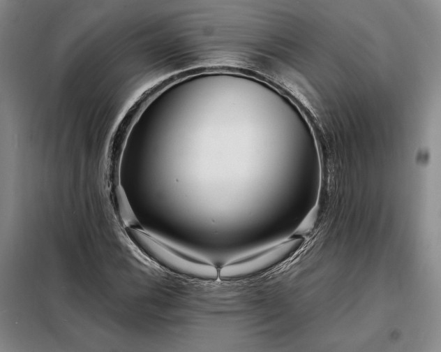 X0000098221116200805011228