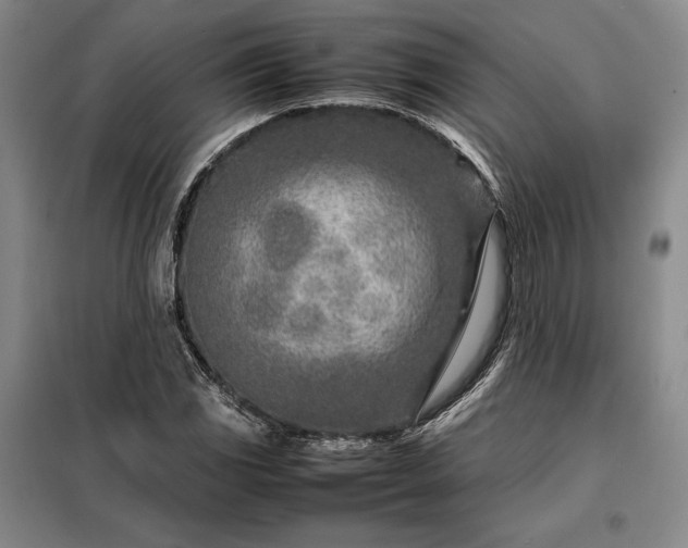 X0000098221117200805011228