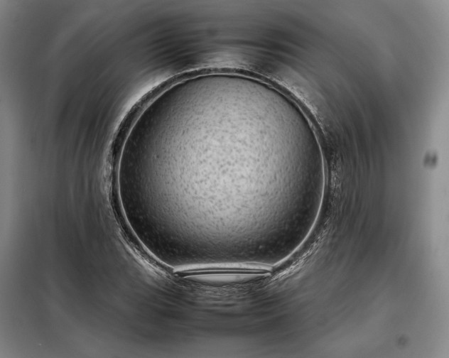 X0000098221119200805011228