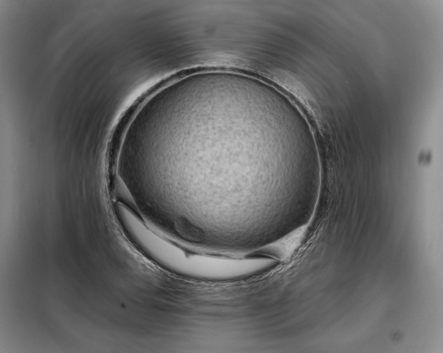 X0000098221120200805011228