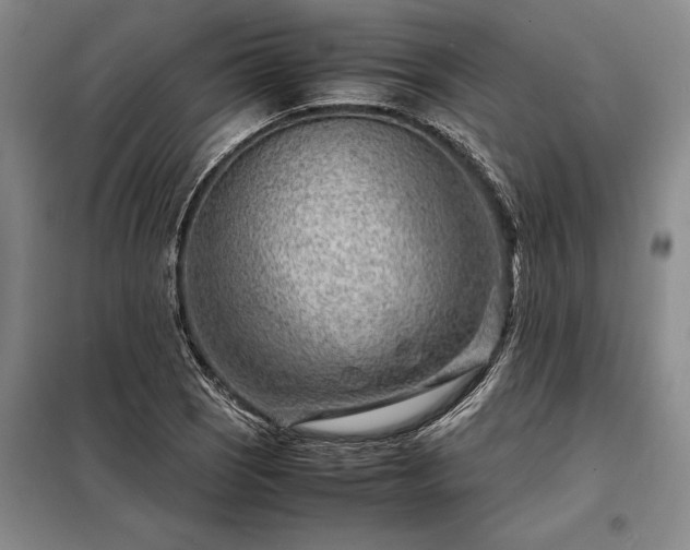 X0000098221121200805011228