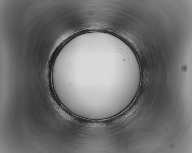 X0000098221122200805011228