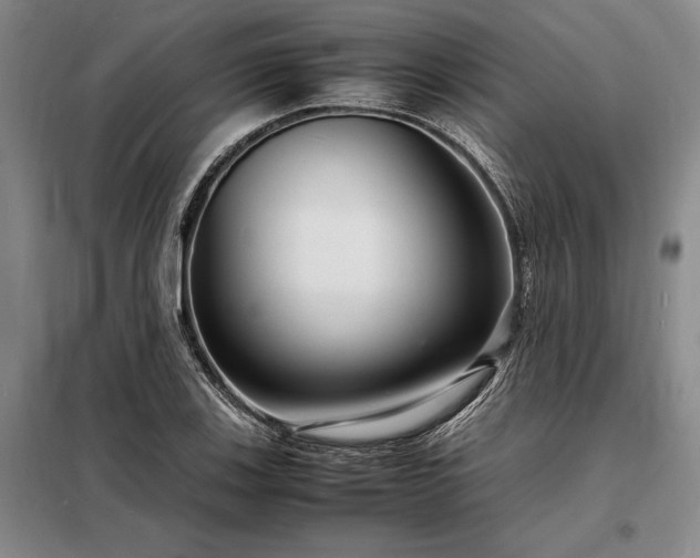 X0000098221123200805011228