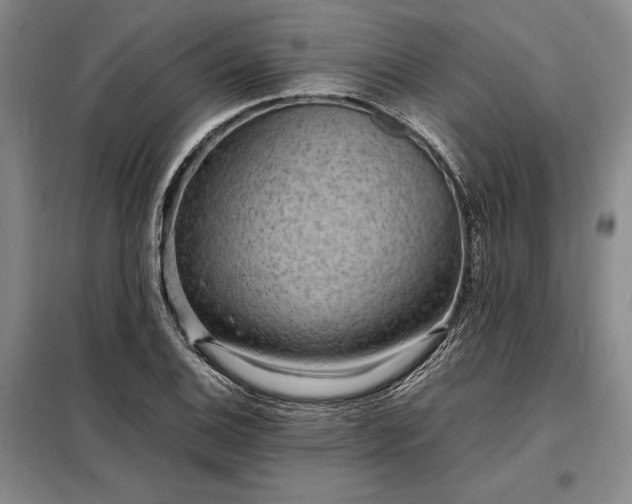 X0000098221124200805011228