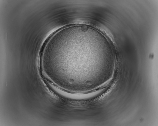 X0000098221125200805011228