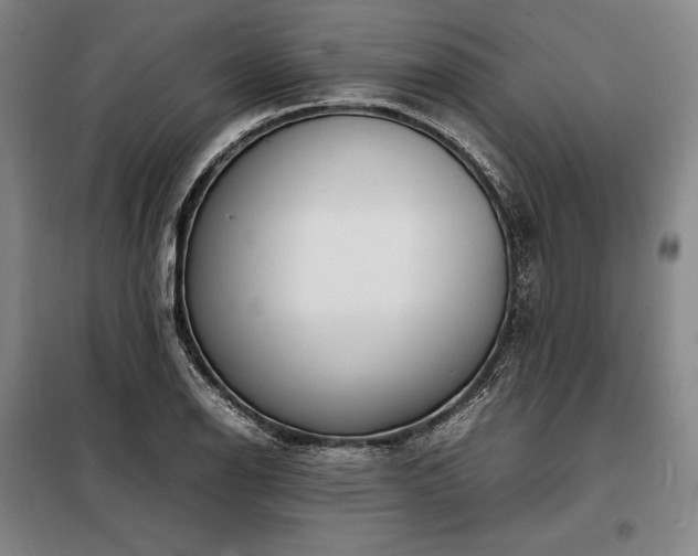 X0000098221126200805011228