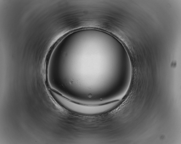 X0000098221127200805011228