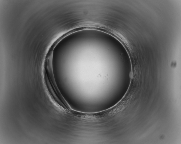 X0000098221128200805011228