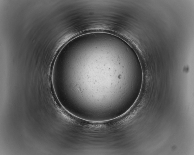 X0000098221129200805011228