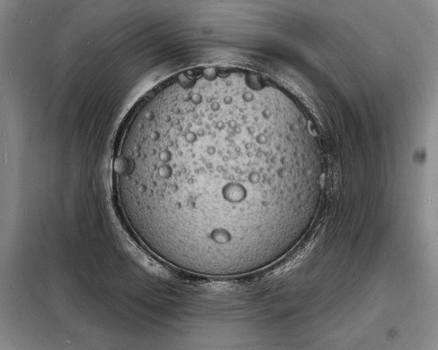 X0000098221130200805011228