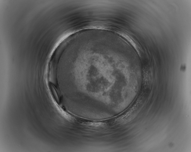 X0000098221131200805011228