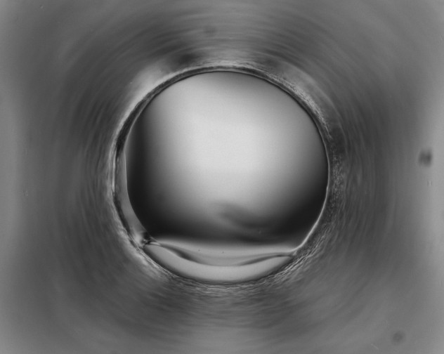 X0000098221132200805011228