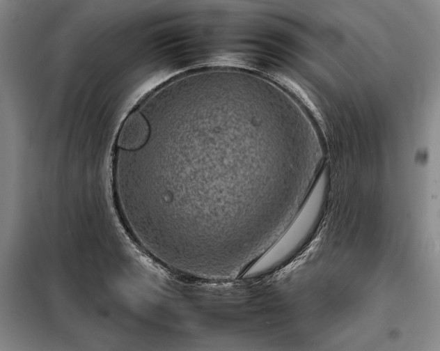 X0000098221133200805011228