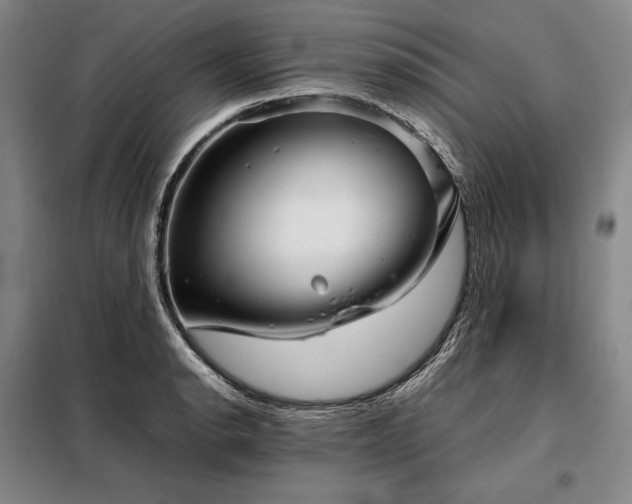 X0000098221134200805011228