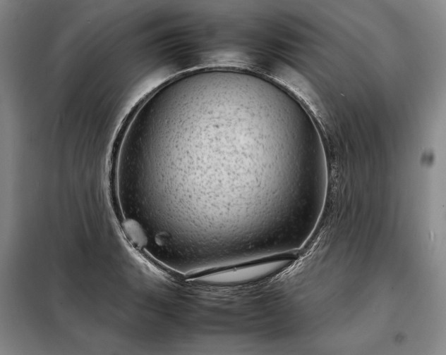 X0000098221135200805011228