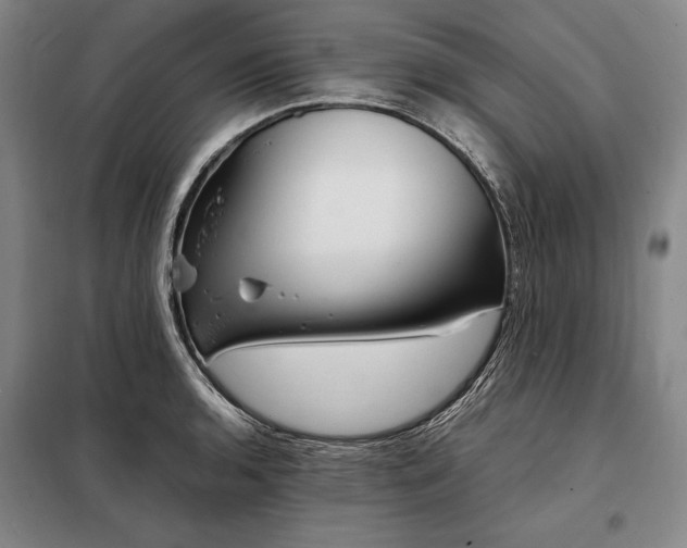 X0000098221136200805011228