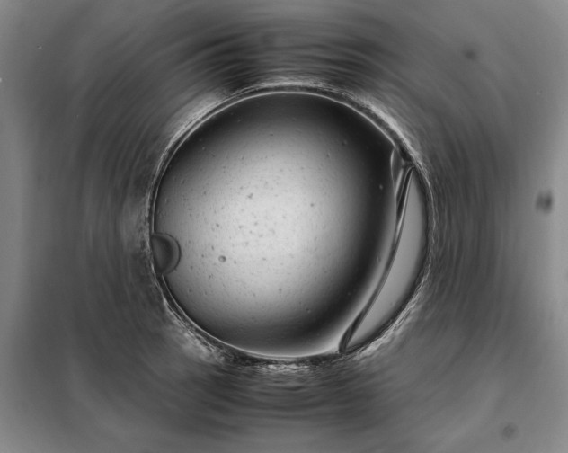 X0000098221137200805011228