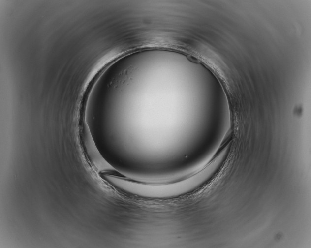 X0000098221138200805011228