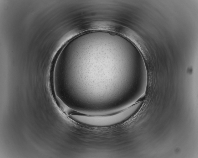 X0000098221139200805011228