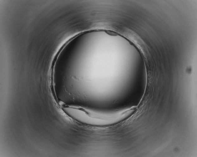 X0000098221140200805011228