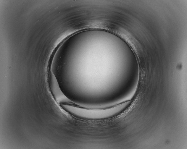 X0000098221141200805011228