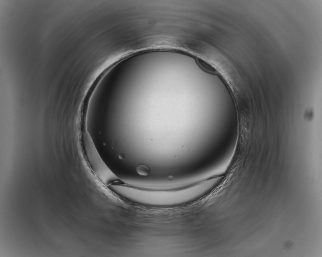 X0000098221142200805011228