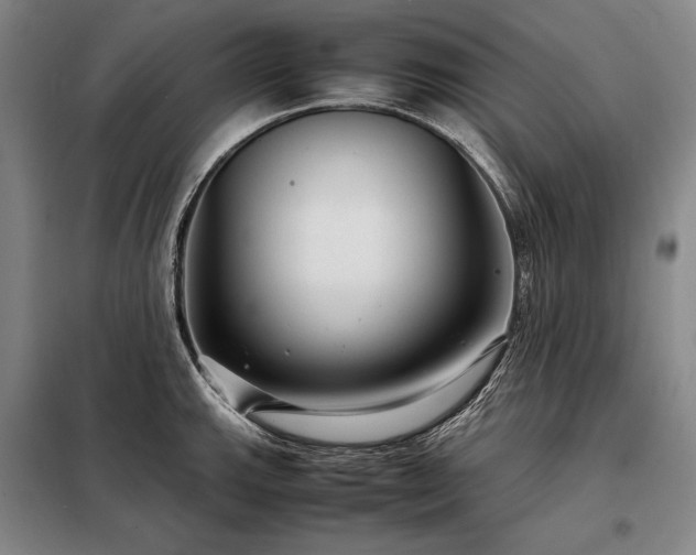 X0000098221143200805011228