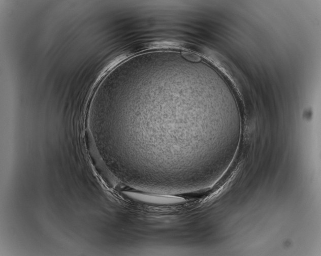 X0000098221145200805011228