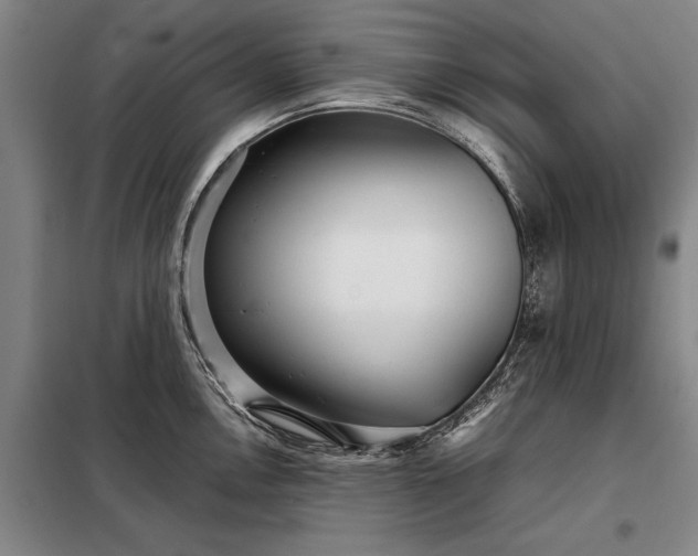 X0000098221146200805011228