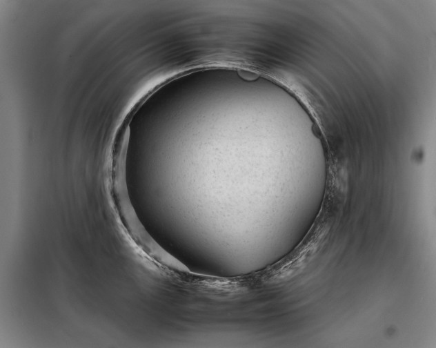 X0000098221147200805011228