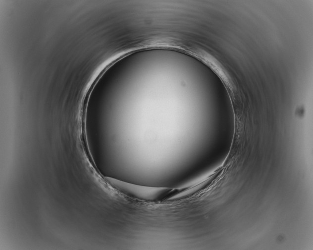 X0000098221148200805011228