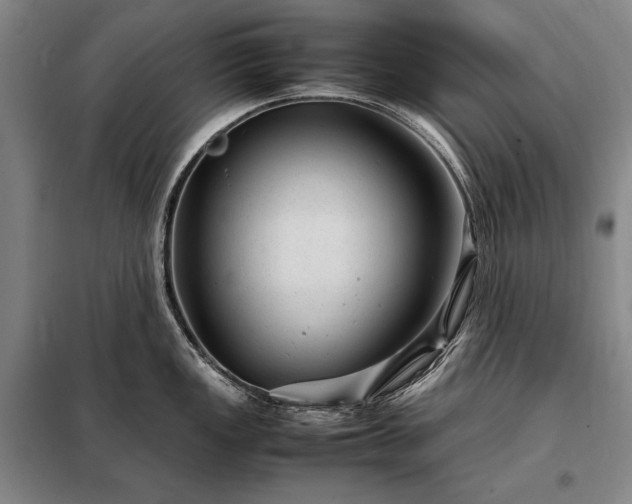 X0000098221149200805011228