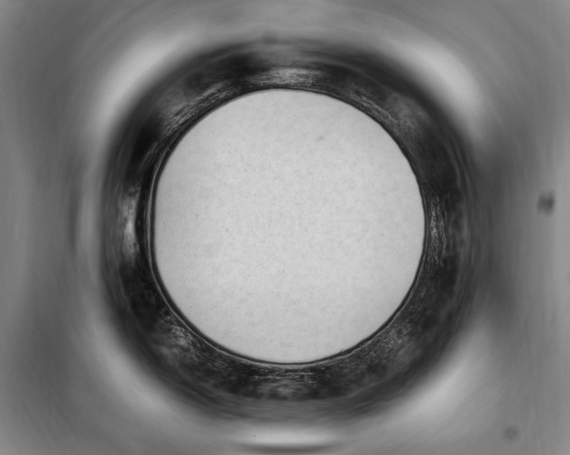 X0000098221150200805011228