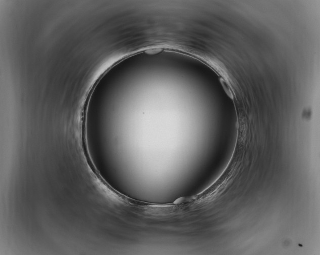 X0000098221151200805011228