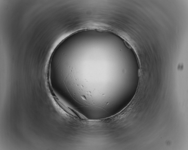 X0000098221152200805011228