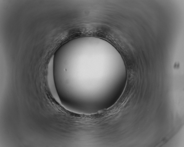 X0000098221153200805011227