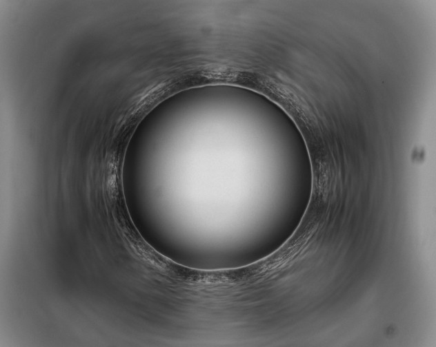 X0000098221154200805011227