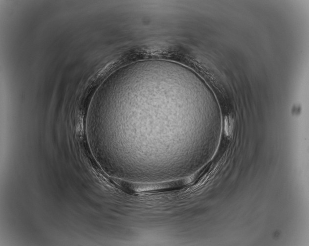 X0000098221155200805011227