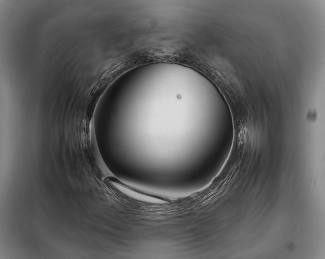 X0000098221156200805011227