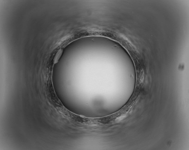 X0000098221157200805011227