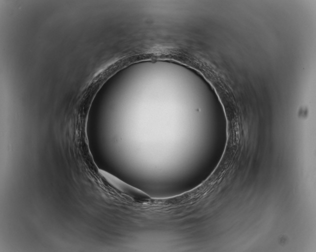 X0000098221158200805011227