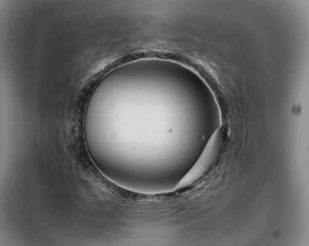 X0000098221159200805011227