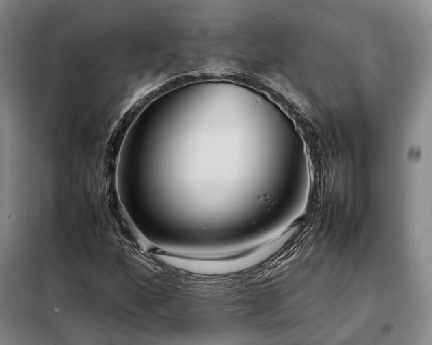 X0000098221160200805011227