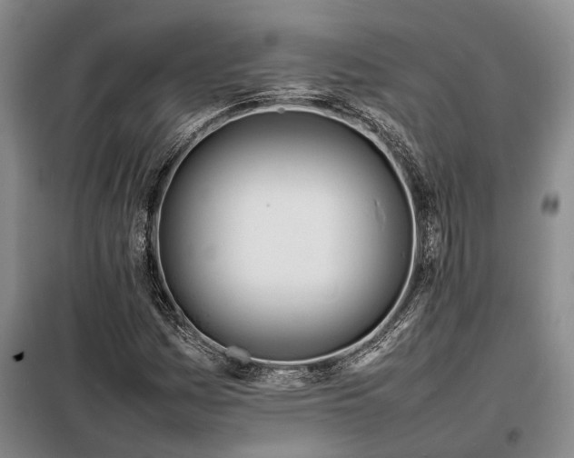 X0000098221161200805011227