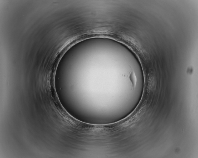 X0000098221162200805011227