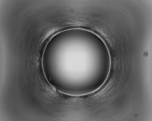 X0000098221163200805011227