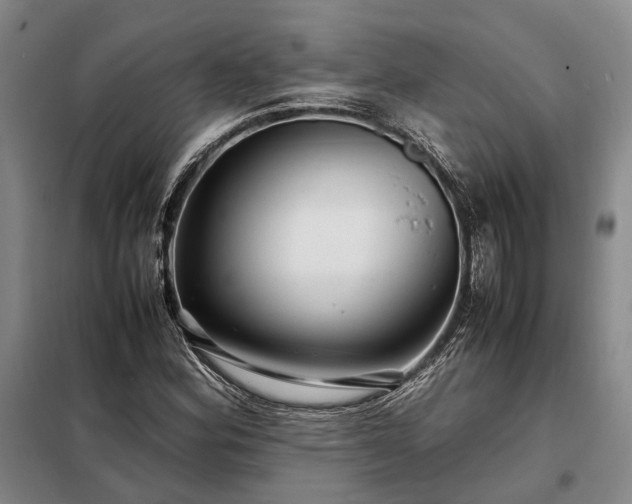 X0000098221164200805011227