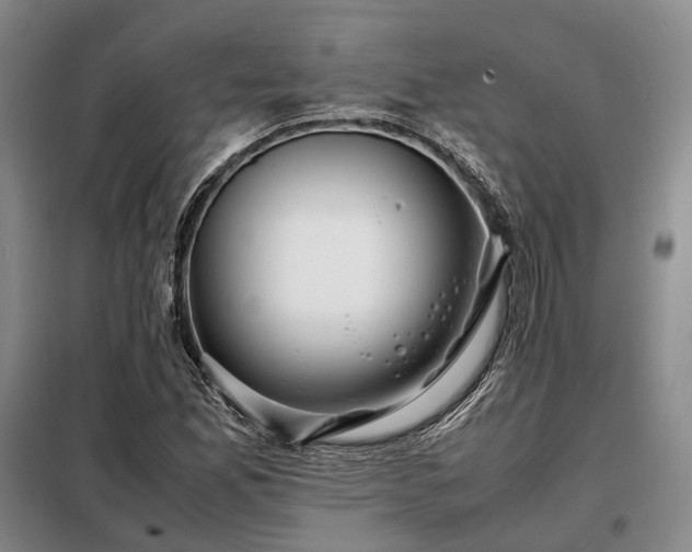 X0000098221165200805011227