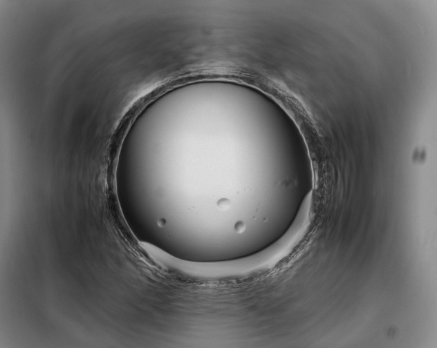 X0000098221166200805011227